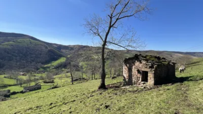 Rustic house on Pisueña Street, Selaya photo 4