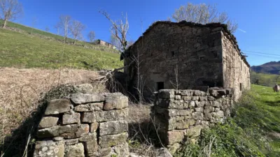 Rustic house on Pisueña Street, Selaya photo 2