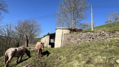 Rustic house on Pisueña Street, Selaya photo 11