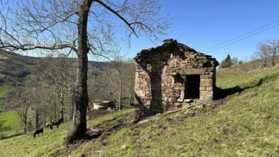 Rustic house on Pisueña Street, Selaya photo 5
