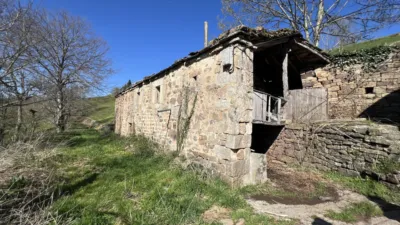 Rustic house on Pisueña Street, Selaya photo 8