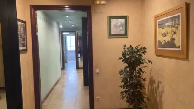 Flat in Olot photo 4