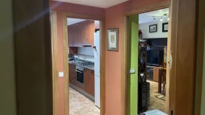 Apartment in Olot photo 14