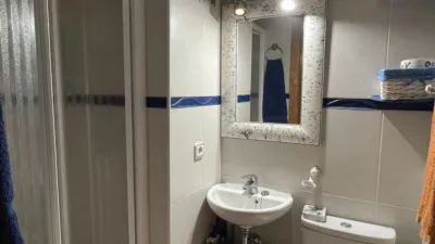 Apartment in Olot photo 22