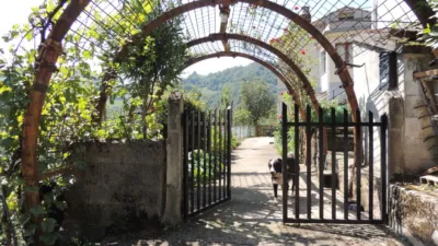 Rustic finca on Brañavieja Street photo 3