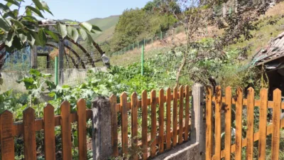Rustic finca on Brañavieja Street photo 7