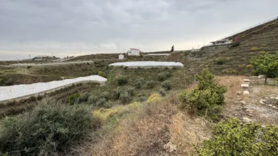 House on Camino de los Llanos, 1 photo 23