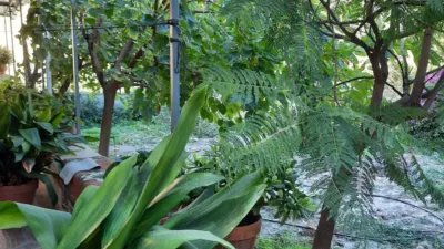 Casa en Alhama de Almería photo 3