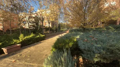 Penthouse at Calle de la Libertad, 13 photo 20