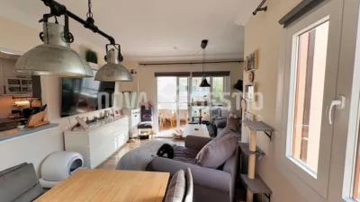 Apartment in Cala Millor photo 30