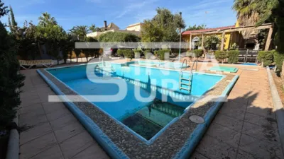 House on Calle de la Alameda photo 10