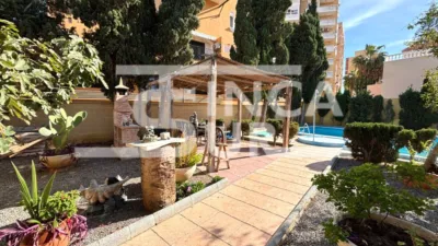 House on Calle de la Alameda photo 9