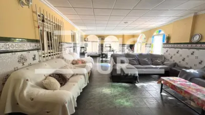 House on Calle de la Alameda photo 45