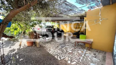 House on Calle de la Alameda photo 15