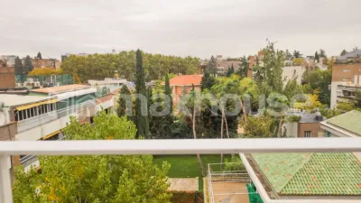 Piso en alquiler en Paseo de la Habana, cerca de Calle de Armando Palacio Valdés - Imagen 11