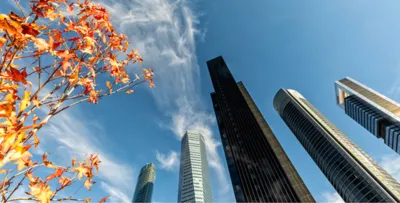 Piso en alquiler en Calle de Sinesio Delgado - Imagen 7