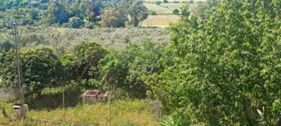 Rustic chalet in Los Molinos photo 28