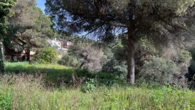 House in Alella photo 10