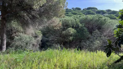 House in Alella photo 11