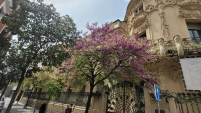 Top-floor apartment on Calle de Fernando VI photo 39