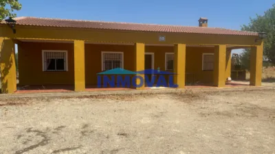 Miniatura 9