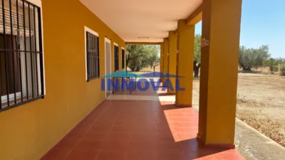 Miniatura 12
