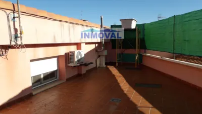Miniatura 11
