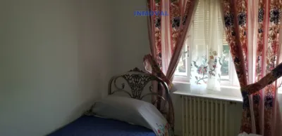 Miniatura 12