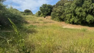 Rustic farm on Calle Orsevinya, No. 1 photo 2