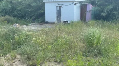 Rustic farm on Calle Orsevinya, No. 1 photo 10