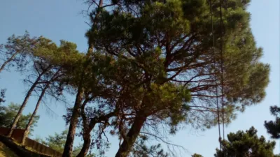 Terreny en venda a Carrer de la Serra del Cadí, Maçanet de la Selva de 30.000 €