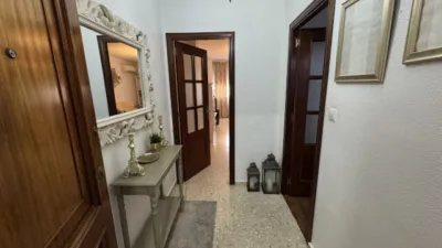 Apartment on Calle de los Geranios photo 3