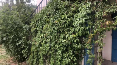 Piso en venta en Calle Doctor Cunnac, Osséja de 170.000 €