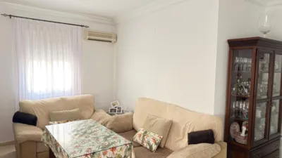 Apartment on Paseo de la Redondilla photo 4