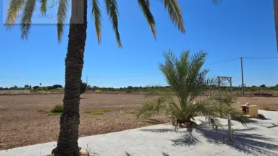 Casa – Elx - Elche - Vista 4