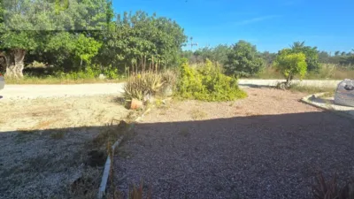 House in Torrellano-Valverde-Parc Empresarial photo 5