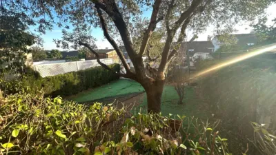 House on Passatge del Maresme photo 34