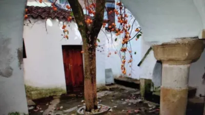 House on Calle de las Rejas photo 12