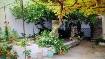 House on Calle de las Rejas photo 5