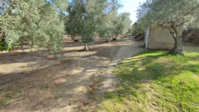 Chalet on Carretera Guijo de Coria photo 9