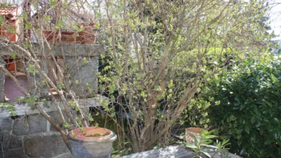 Detached chalet in Plaza Mayor photo 9