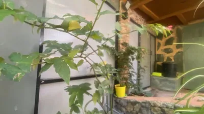 Chalet rústico en venta en Calle La Culata,  Risco Blanco, Zona Interior (San Bartolomé de Tirajana) de 148.000 €