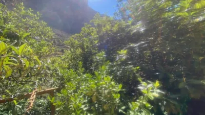 Chalet rústico en venta en Calle La Culata,  Risco Blanco, Zona Interior (San Bartolomé de Tirajana) de 148.000 €