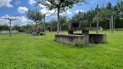 Flat on Calle de las Huertas photo 47