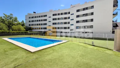 Apartment in Can Gambús photo 2