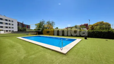 Apartment in Can Gambús photo 34