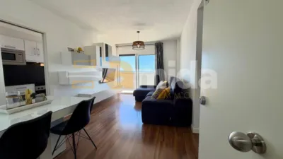 Apartment in Can Gambús photo 4
