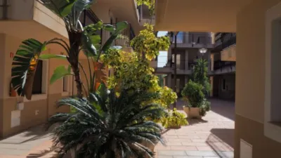 Apartment on Collados Zieschang Street photo 23