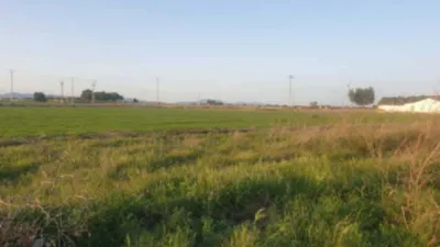 Finca rústica en venta en Calle del Molino de Valladolises, 1, Valladolises y Lo Jurado (Distrito Campo de Murcia. Murcia Capital) de 136.000 €