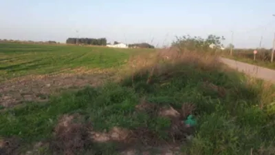Finca rústica en venta en Calle del Molino de Valladolises, 1, Valladolises y Lo Jurado (Distrito Campo de Murcia. Murcia Capital) de 136.000 €